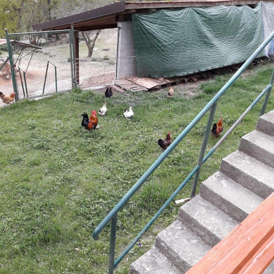 B&B La Casa Del Daino Millesimo Dış mekan fotoğraf
